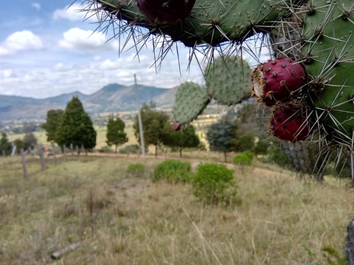 Hotel Campestre Los Duraznos Cucunubá Εξωτερικό φωτογραφία